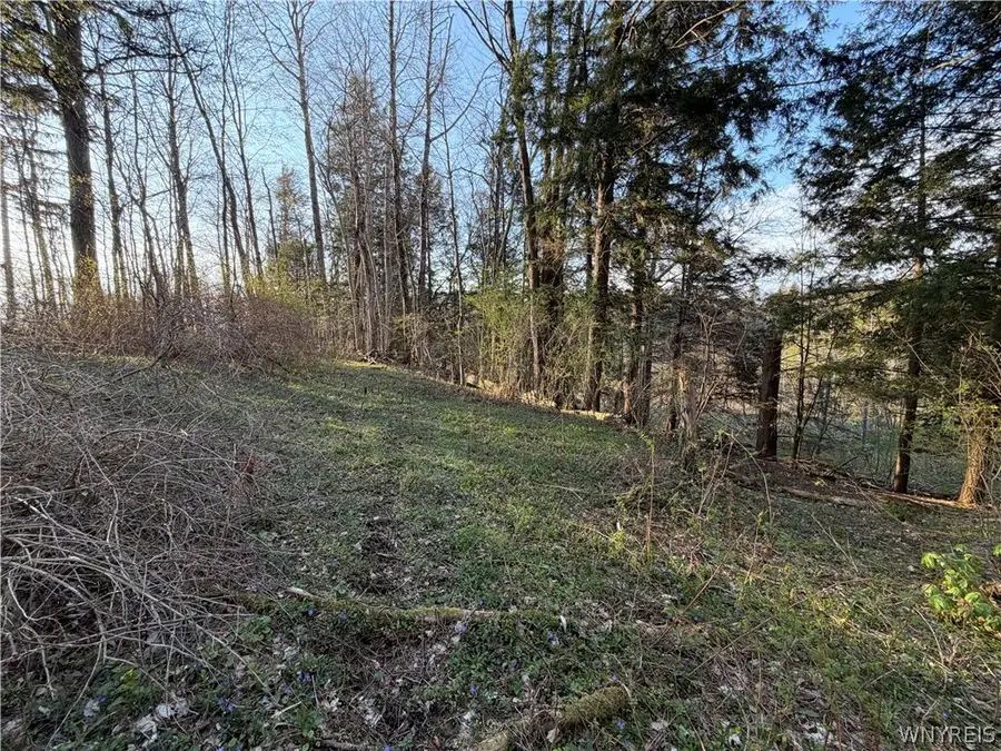 00 Pit Road, Java Center, NY 14082 - #3