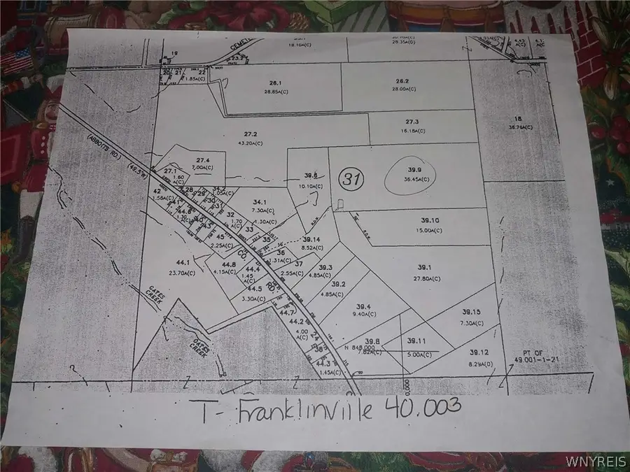 Holliday Lane, Franklinville, NY 14737 - #2