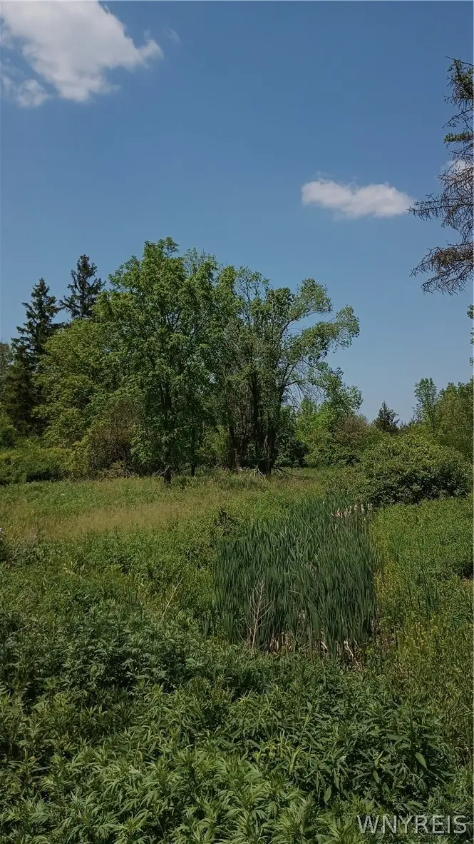 4876 William Street, Lancaster, NY 14086 - #1