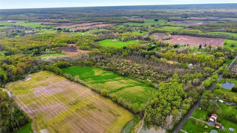 Beaver Road, Alexander, NY 14005 - #2