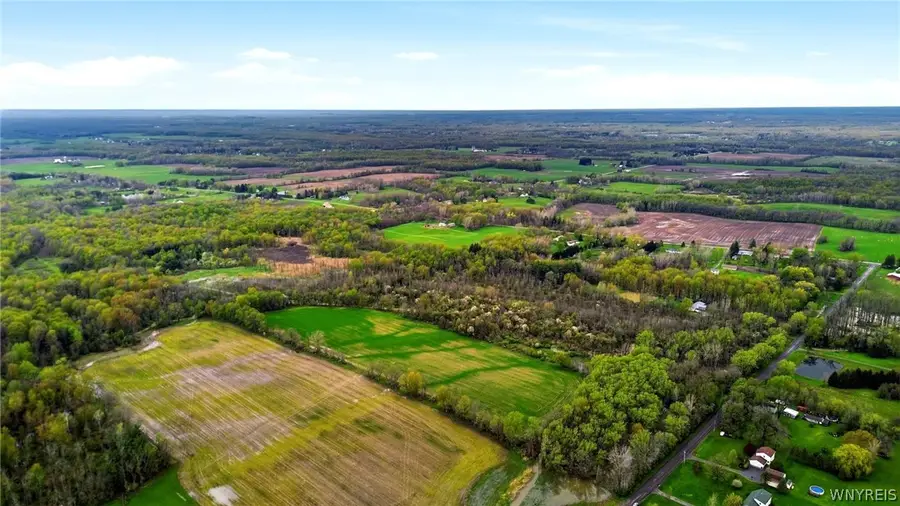 Beaver Road, Alexander, NY 14005 - #3