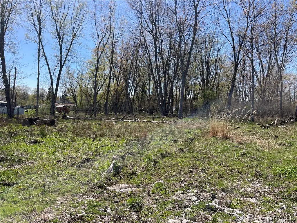 36 Brantwood Drive, Buffalo, NY 14224 - #1