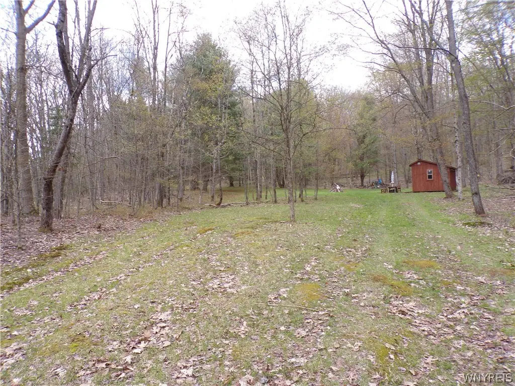 Clair Carrier Road, Friendship, NY 14739 - #1