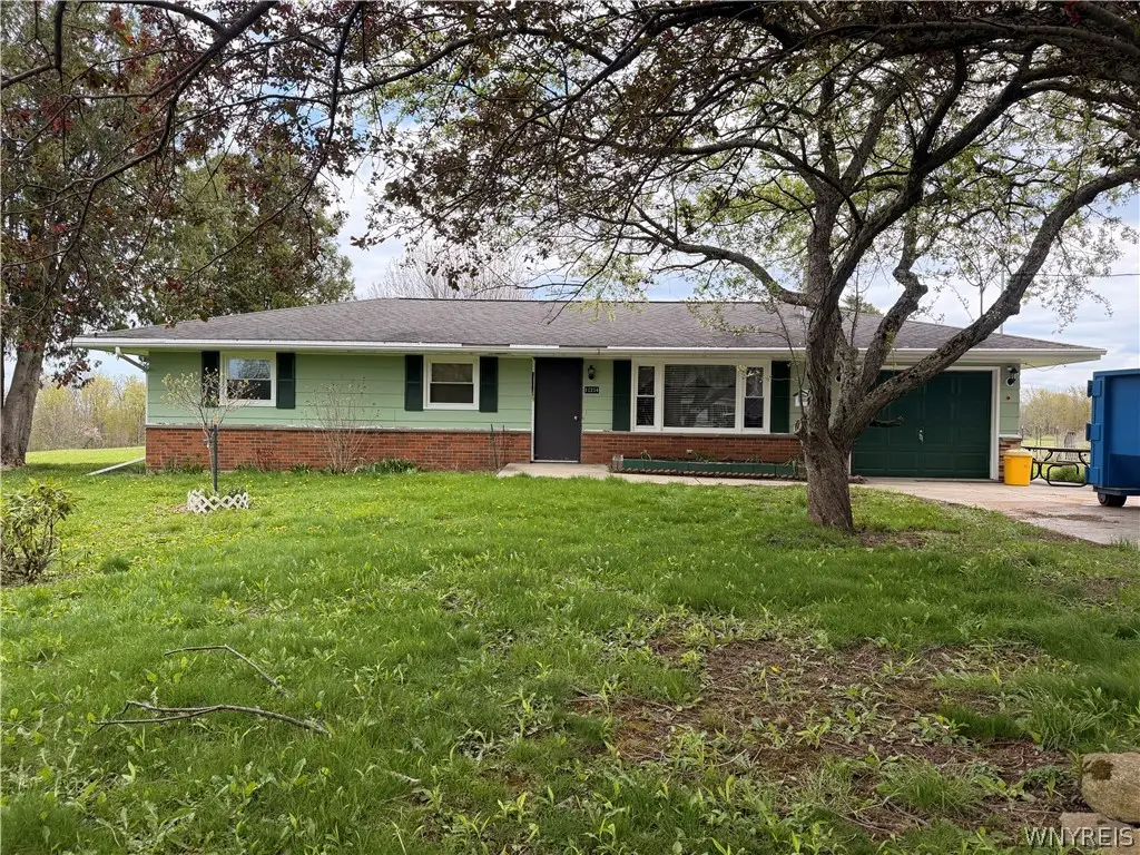 10204 Allegany Road, South Dayton, NY 14138 - #1