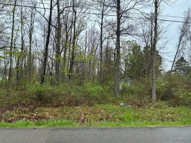 Argyle Avenue, Angola, NY 14006 - #1