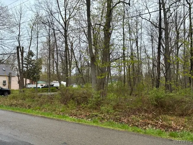 Argyle Avenue, Angola, NY 14006 - #3
