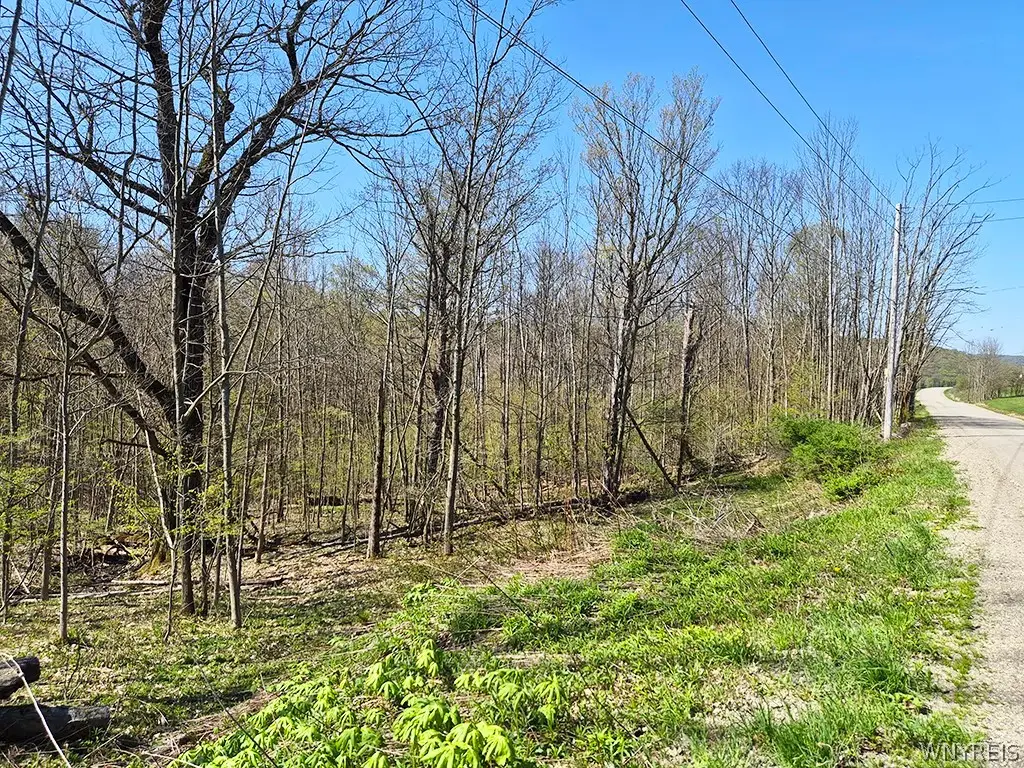 VL Windsor Road, Salamanca, NY 14779 - #1