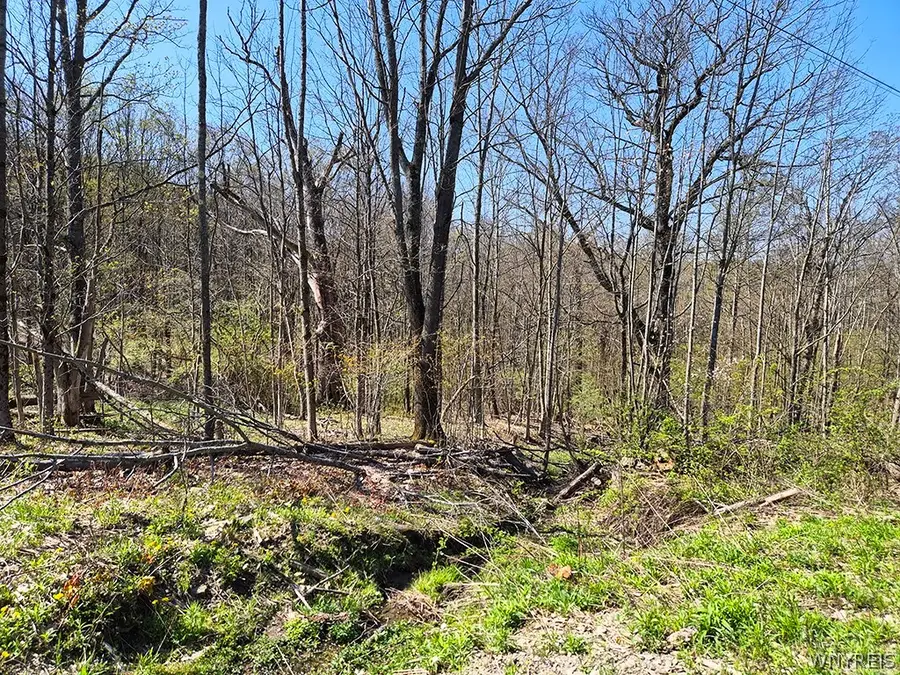 VL Windsor Road, Salamanca, NY 14779 - #3