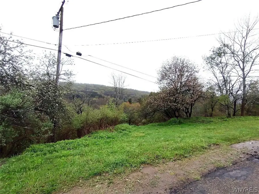 Bozard Hill Road, Great Valley, NY 14741 - #2
