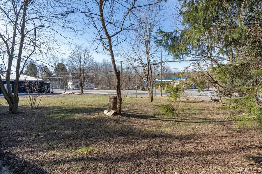 6443 Olean Road, South Wales, NY 14139 - #3