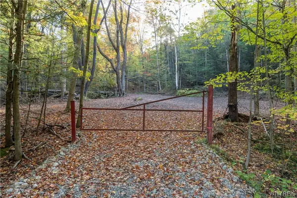 9881+9937 Larkin Road, Eden, NY 14057