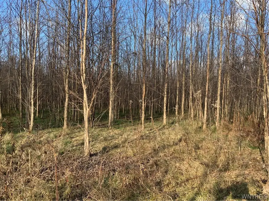 N. Gravel, Medina, NY 14103 - #3
