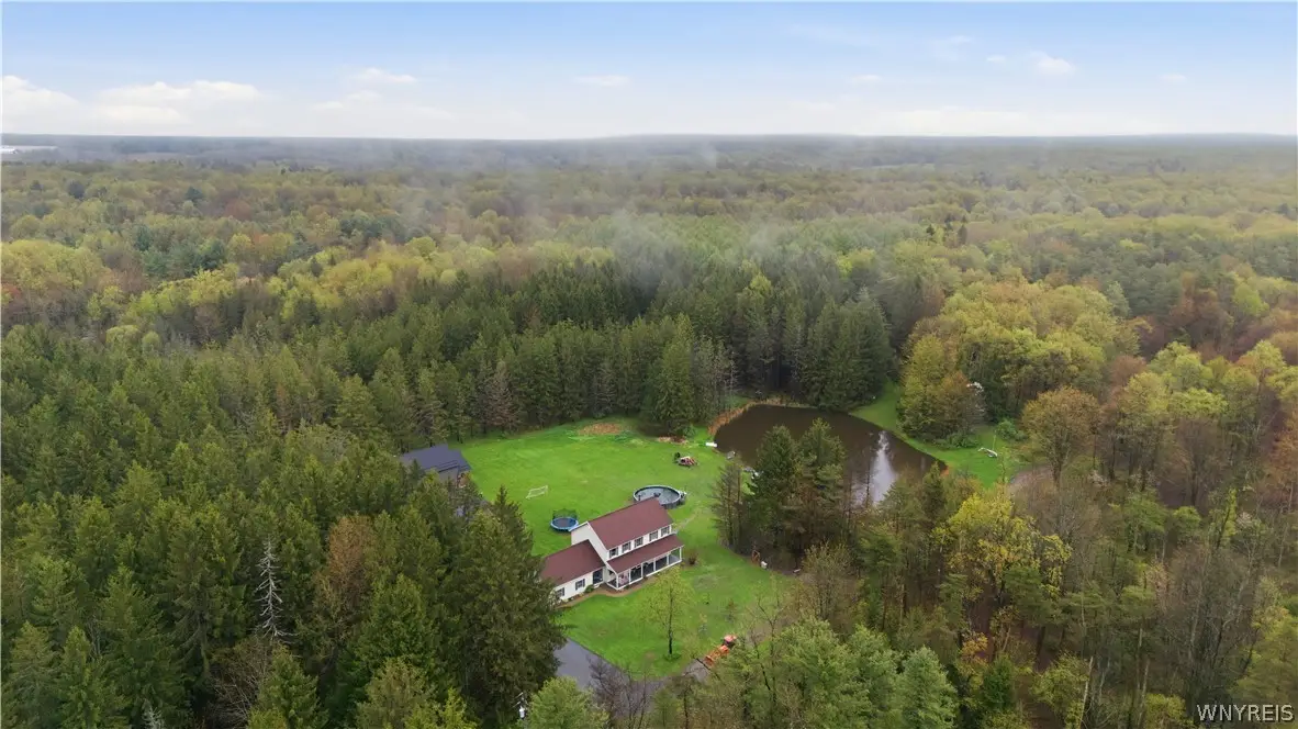 10819 Warner Gulf Road, Chaffee, NY 14030 - #1
