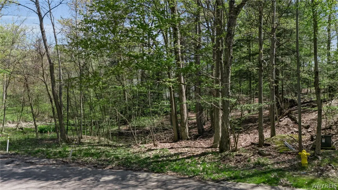 VL Middlebury 2, Orchard Park, NY 14127 - #1