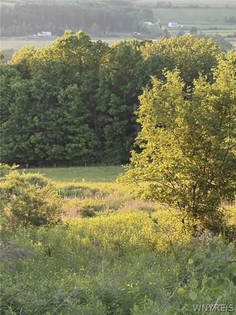 Spring Valley Road, Black Creek, NY 14714 - #2