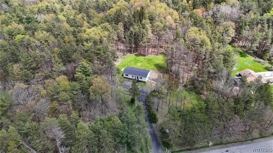 7784 Irish Hill Road, West Valley, NY 14171 - #2