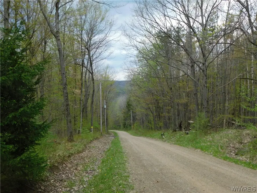 9705 White Meeting House Road, Cuba, NY 14727 - #3