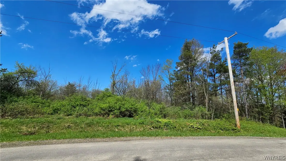 Murray Hill Road, Colden, NY 14033 - #1