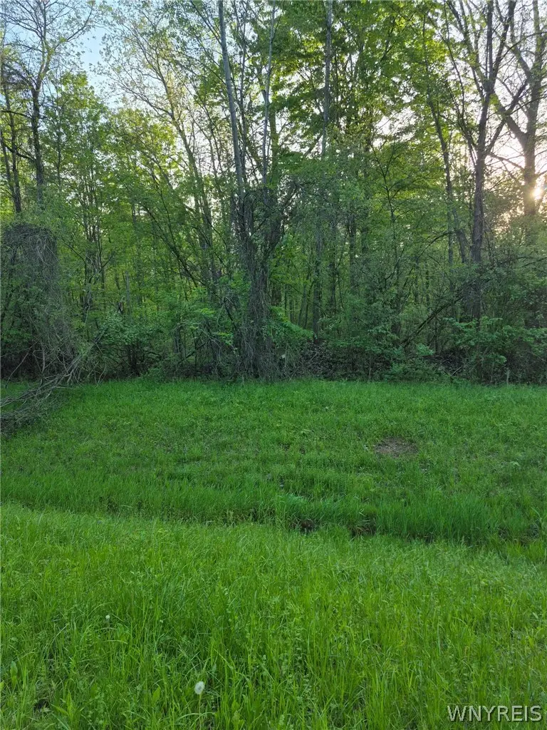 7860 Ditch Road, Gasport, NY 14067 - #3