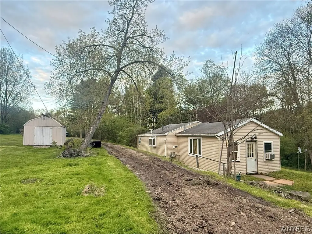 3137 Bear Creek Road, Franklinville, NY 14737 - #1