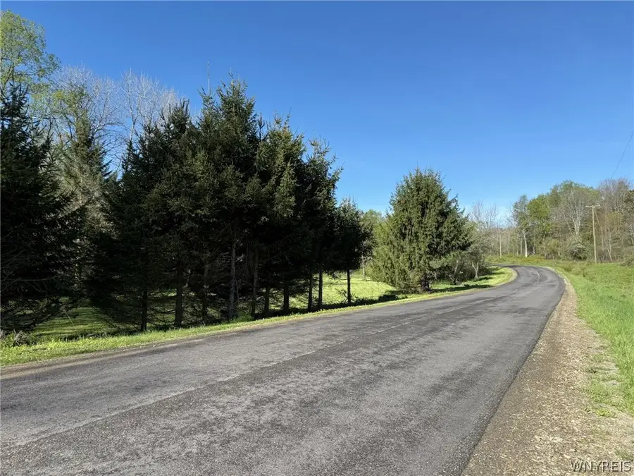 3137 Bear Creek Road, Franklinville, NY 14737 - #2