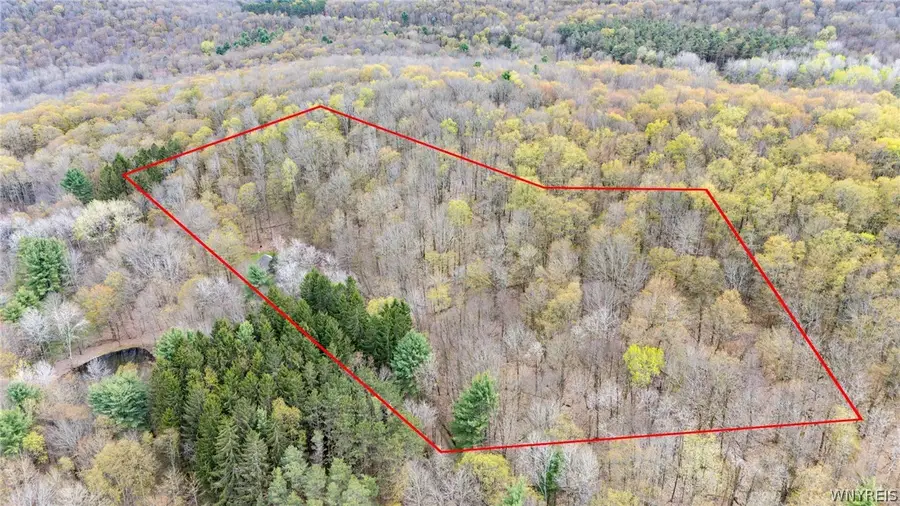 9455 Valle Drive, Cuba, NY 14727 - #2