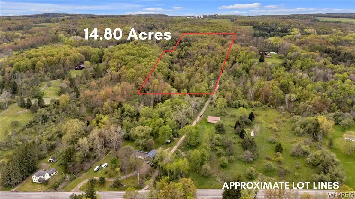 10448 Creek Road, Sardinia, NY 14134 - #1