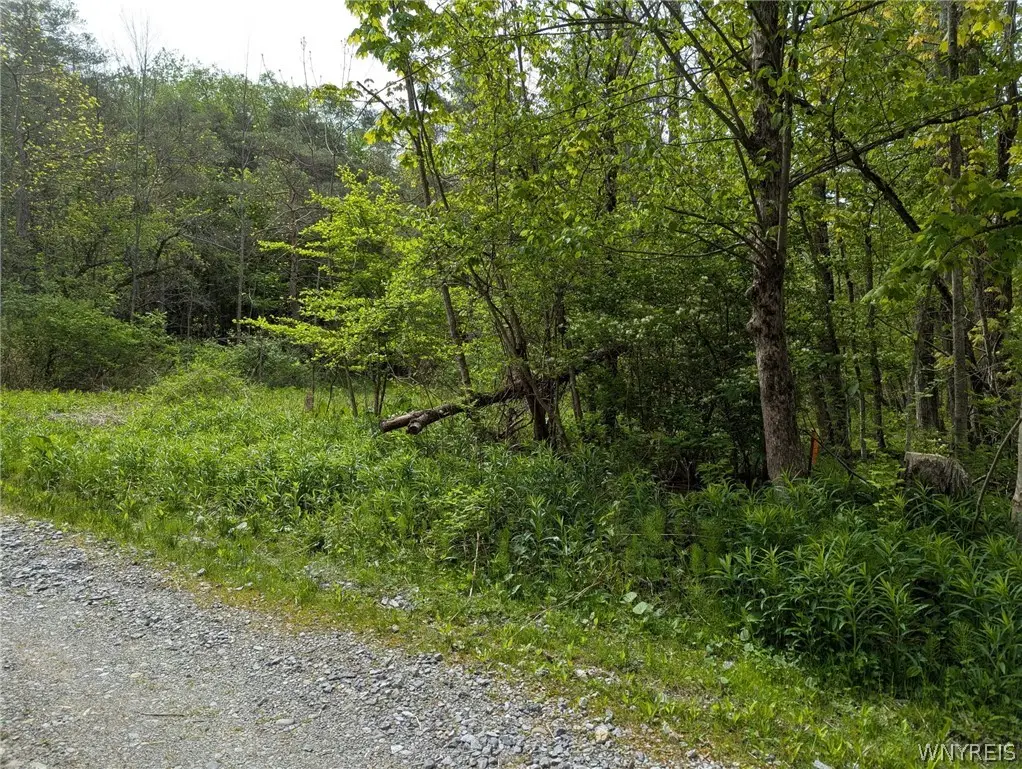 34 Treehaven Road, Gainesville, NY 14066 - #1
