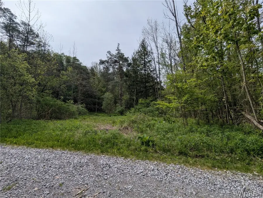 34 Treehaven Road, Gainesville, NY 14066 - #2