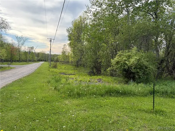 0 Deer Pond Acres Lot #37, Warsaw, NY 14569