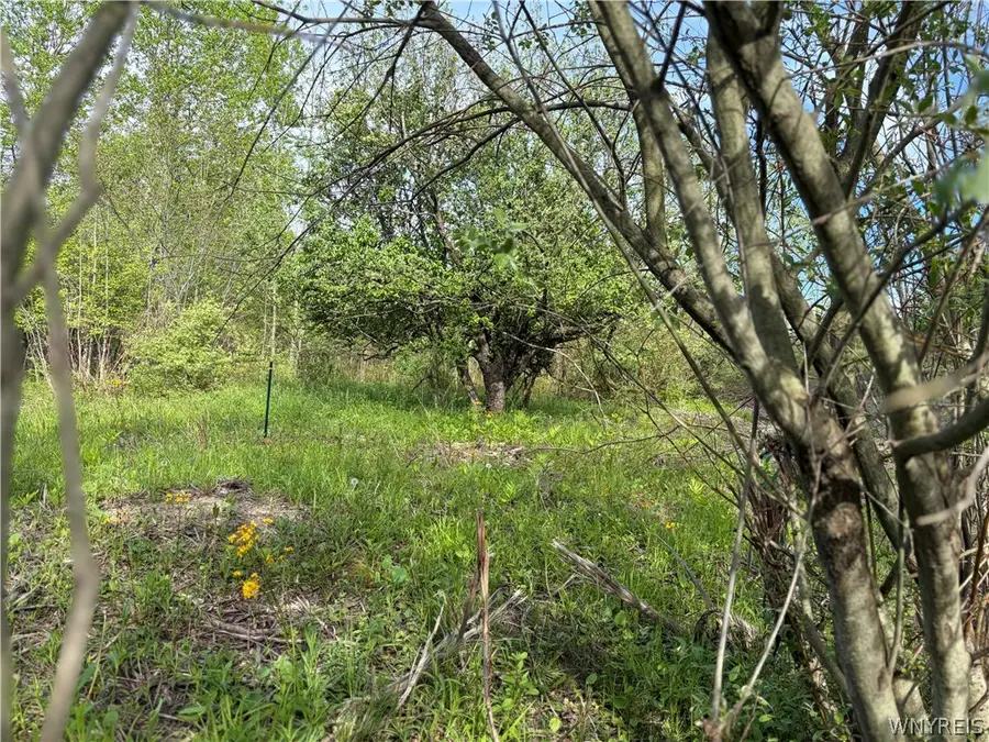0 Deer Pond Acres Lot #38, Warsaw, NY 14569 - #3