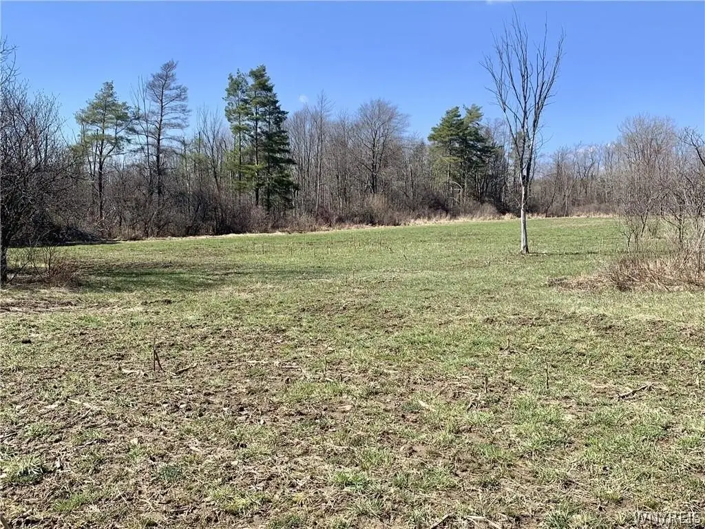 6320 Vl Stinson Road, Arcade, NY 14009 - #1
