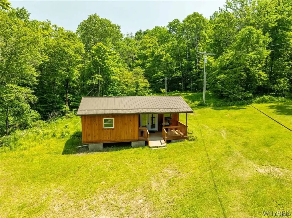 4412 Conley Road, Hinsdale, NY 14743 - #1