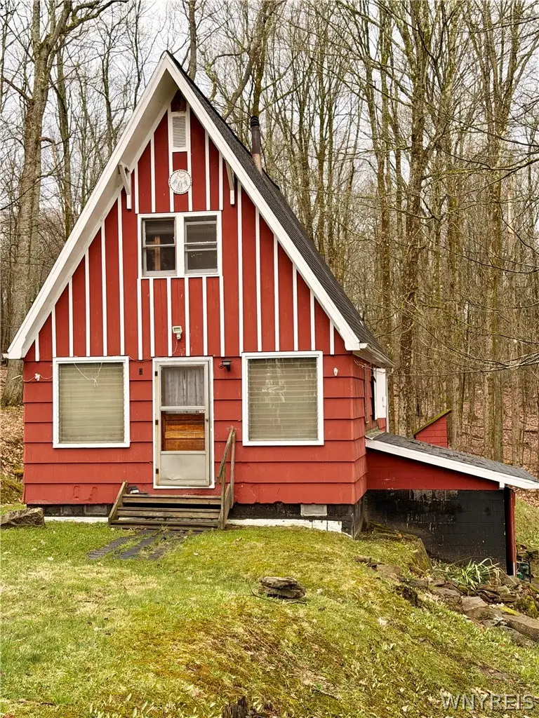 4771 Snow Brook Road, Great Valley, NY 14741 - #3