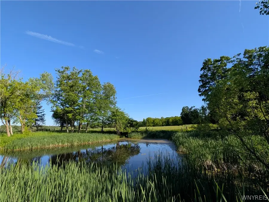 12351 Williston Road, Alden, NY 14004 - #3