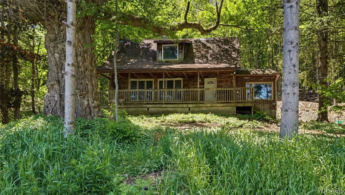 8176 Irish Road, Colden, NY 14033 - #1