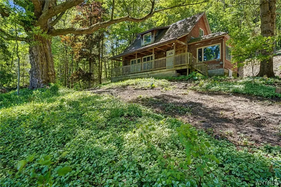 8176 Irish Road, Colden, NY 14033 - #2