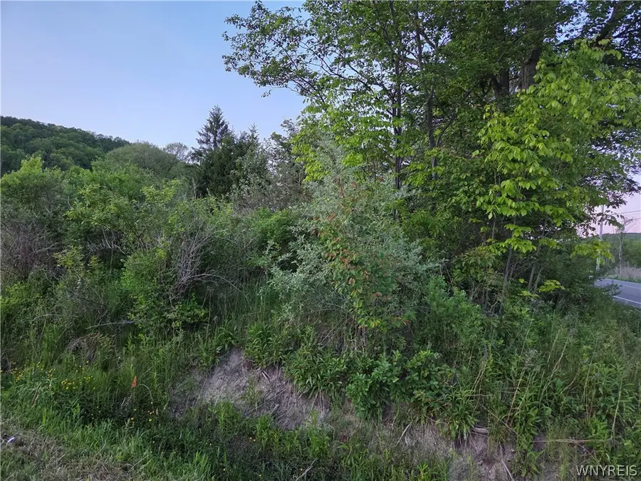 Horn Hill Road, Ellicottville, NY 14731 - #3