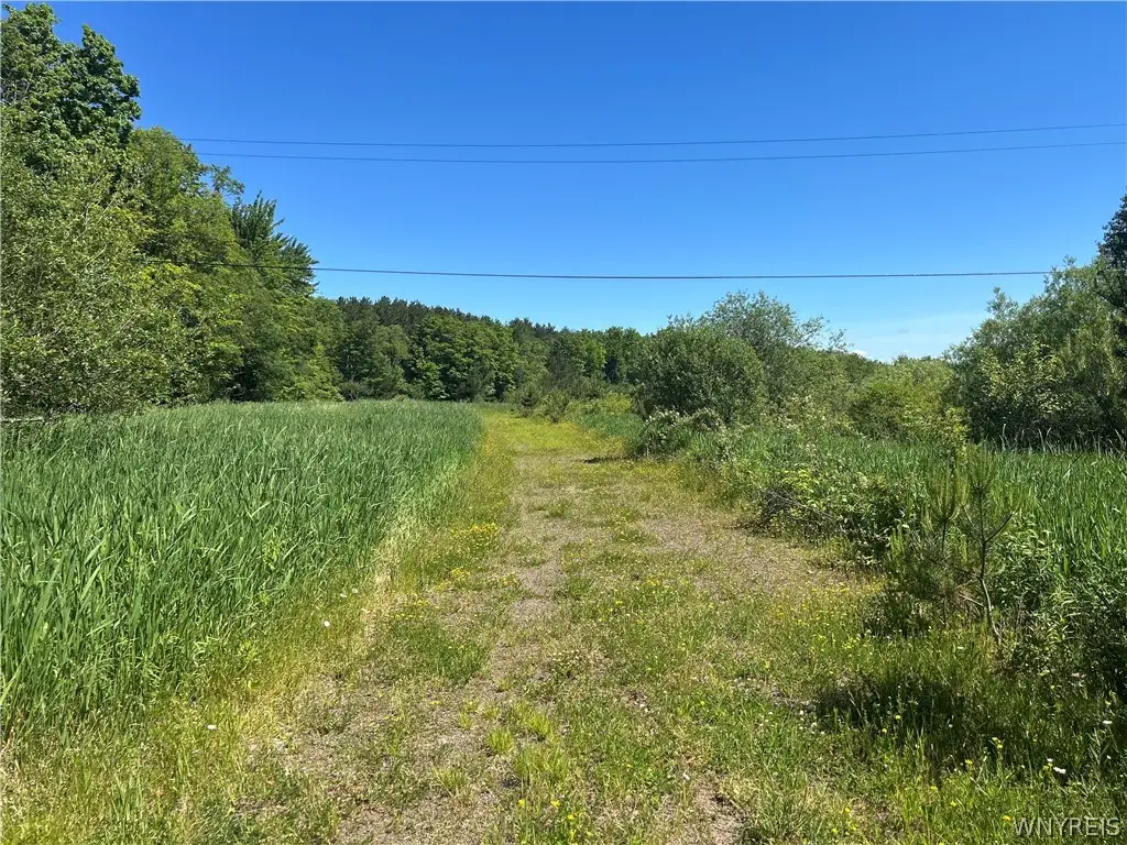 Warner Hill Road, Wales Center, NY 14169 - #1