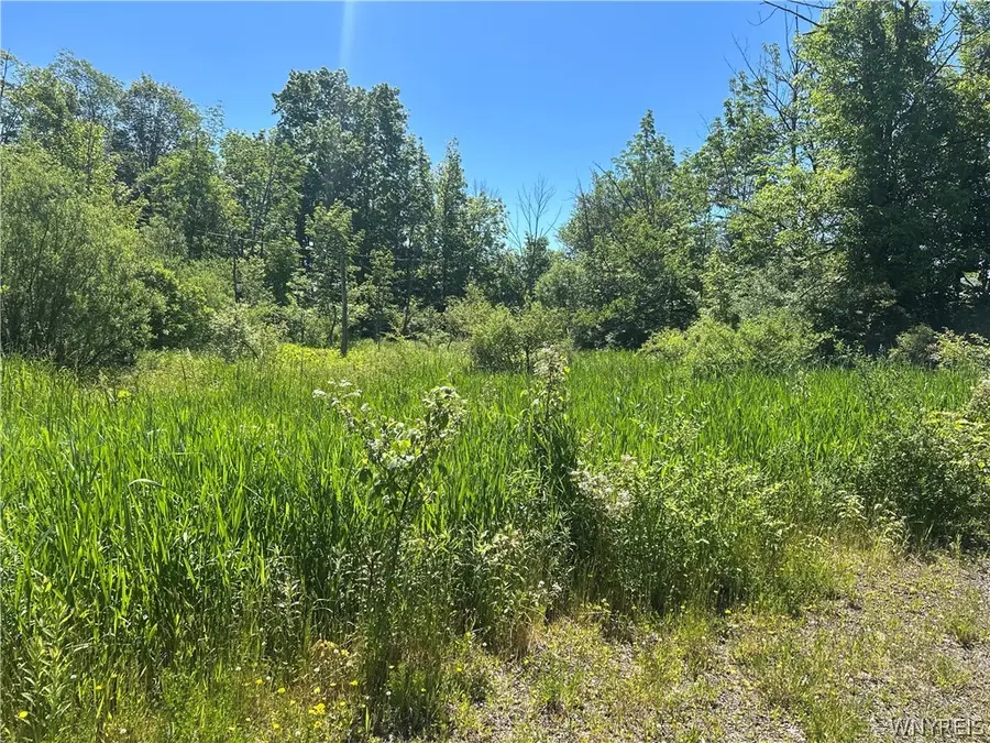 Warner Hill Road, Wales Center, NY 14169 - #2