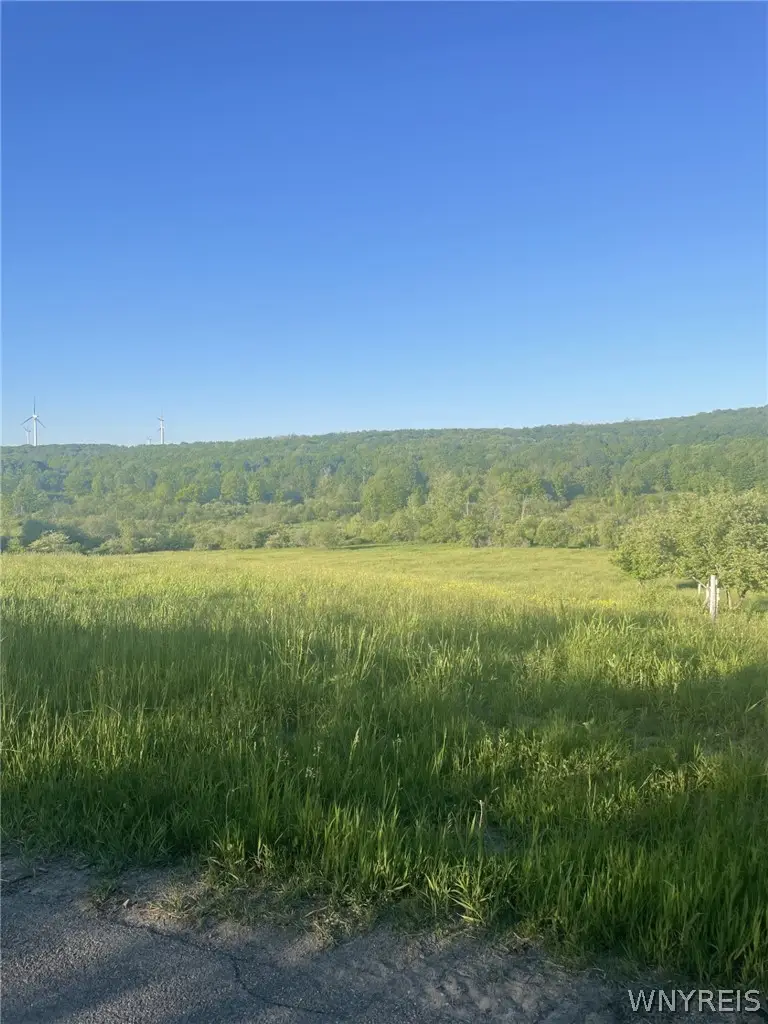 Lost Nations Road, Centerville, NY 14029 - #1