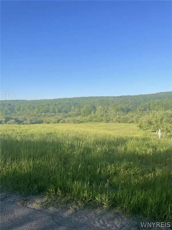 Lost Nations Road, Centerville, NY 14029