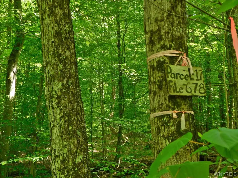 Cr-1, Friendship, NY 14739 - #3