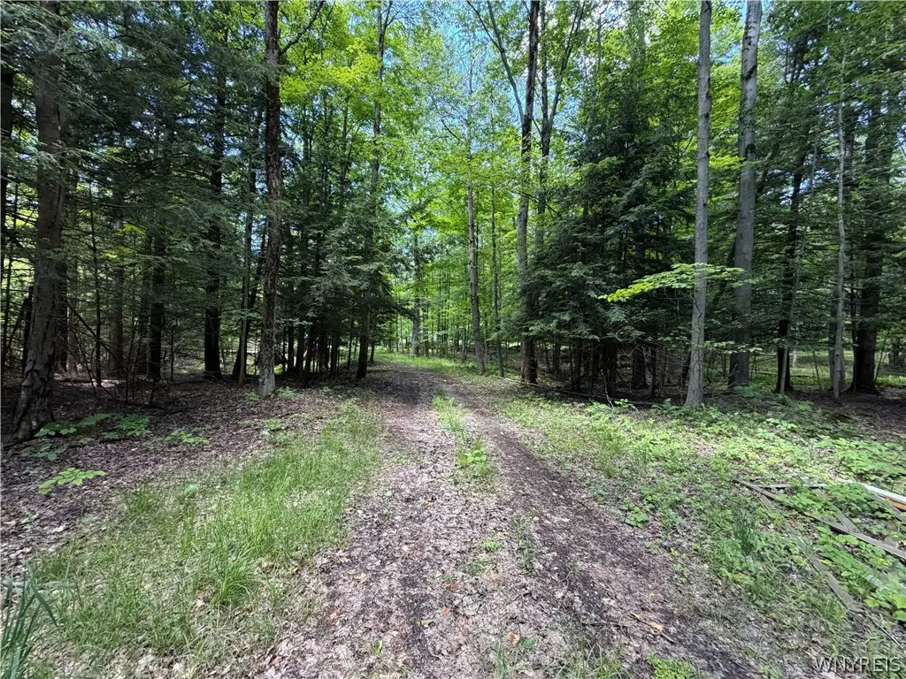 13800 Pritchard Road, Springville, NY 14141 - #1