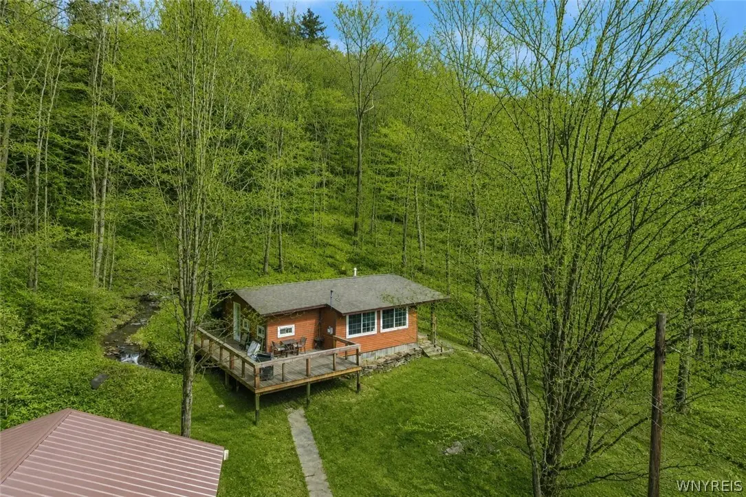 2530 County Road 24, Swain, NY 14884 - #1