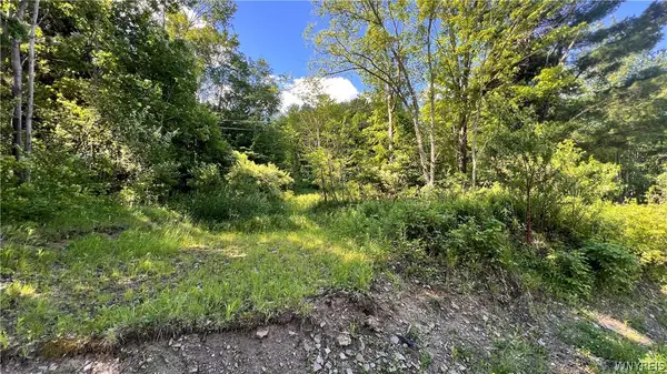 Cherry Valley Road, Allegany, NY 14706