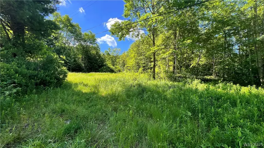 Cherry Valley Road, Allegany, NY 14706 - #2