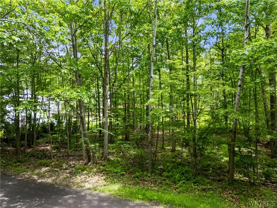 Park Lane, Jamestown, NY 14701 - #3