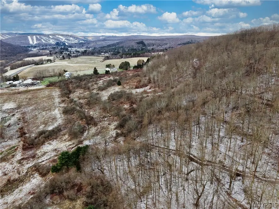 6096 Nys Rte 242 Lot #1, Ellicottville, NY 14731 - #2