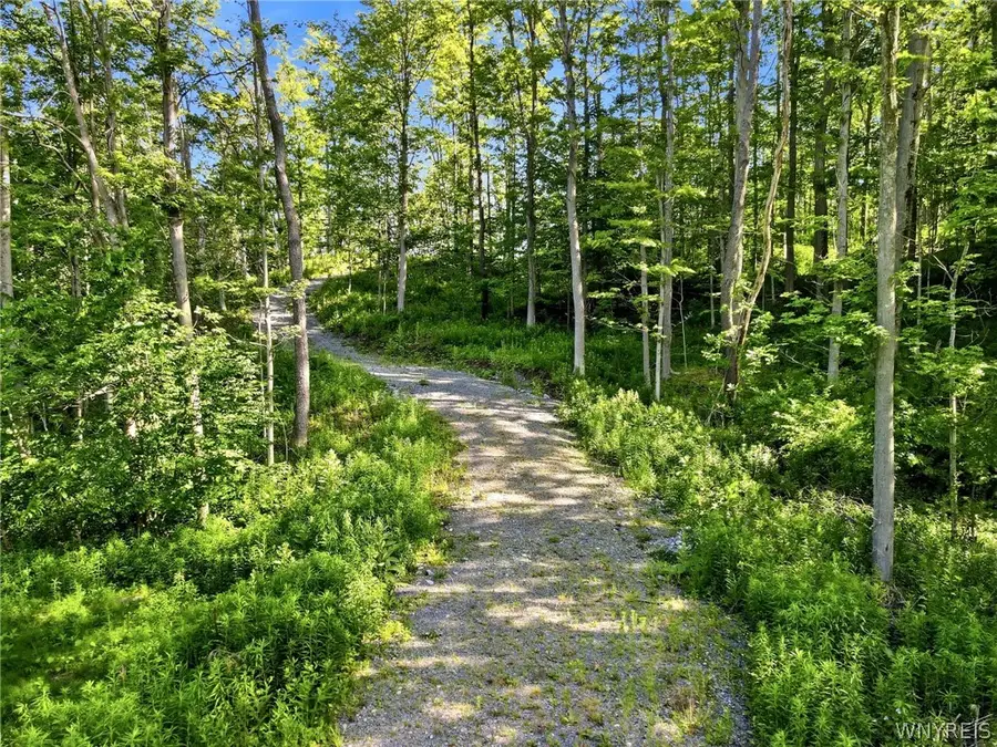 11980 Strykersville Road, Wales, NY 14169 - #2